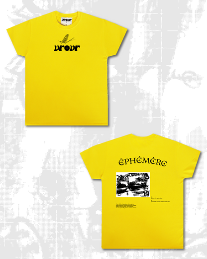 N°10 ÉPHÉMÈRE